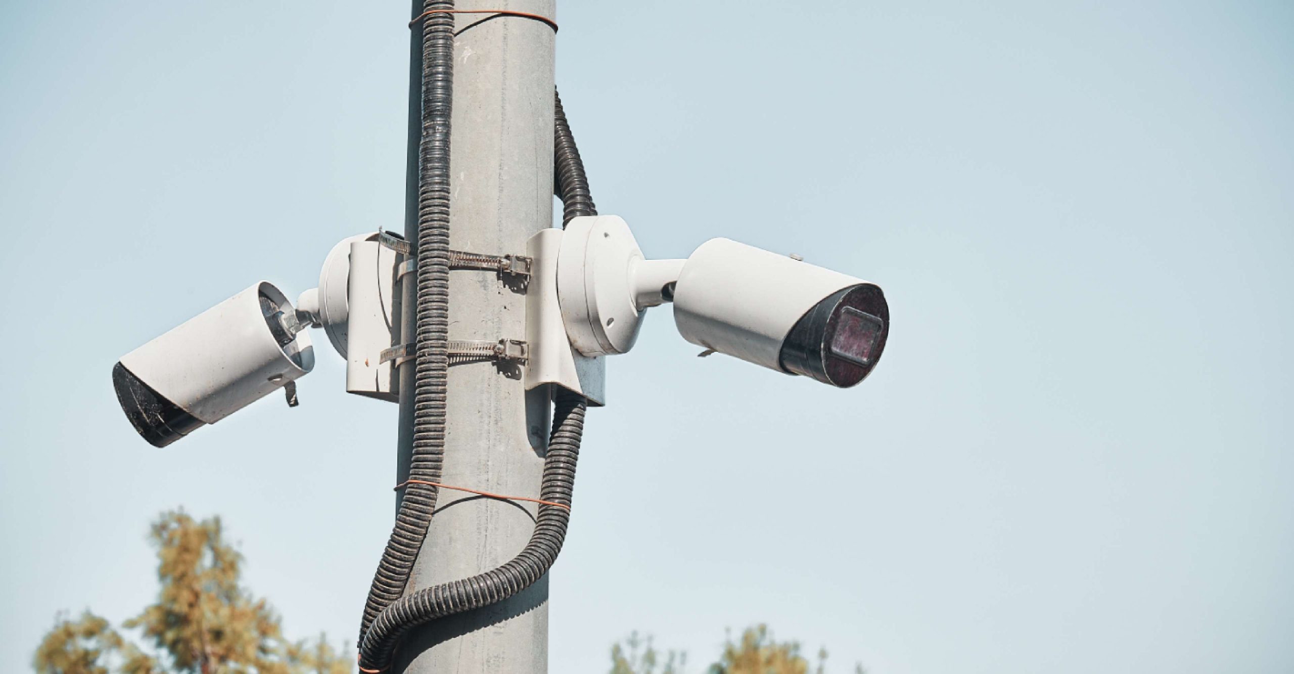 elmec settori automazioni sistemi di visione banner scaled