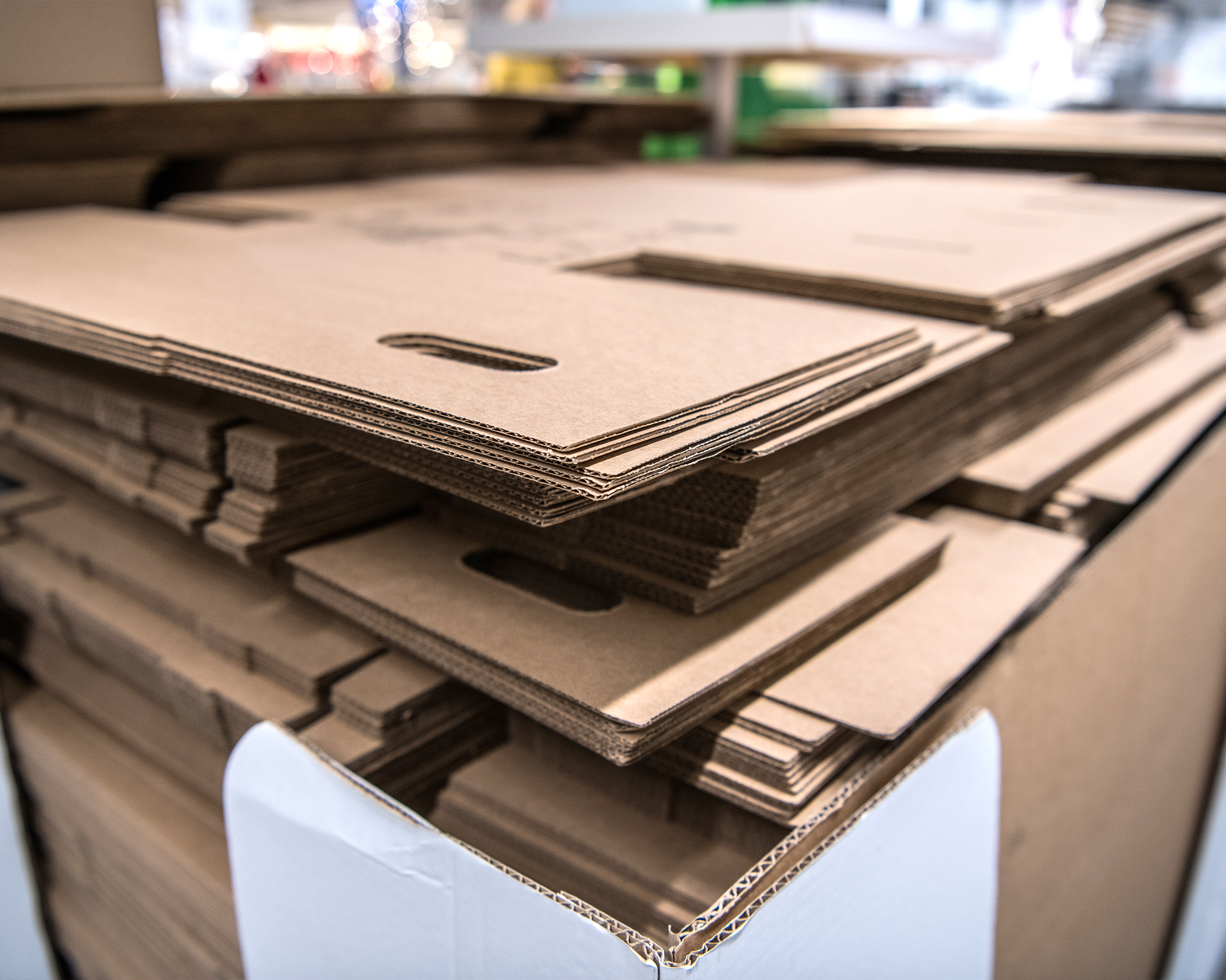 Introduzione della carta nel packaging elmec.